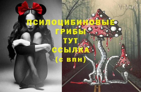 гидра Балабаново