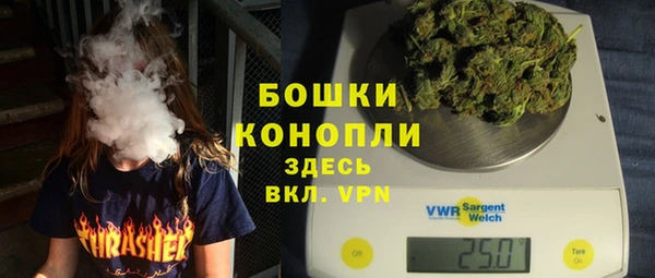 прущие грибы Семилуки