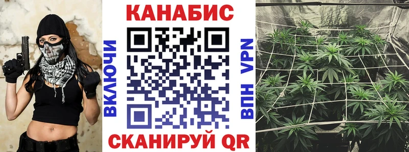 Шишки марихуана MAZAR  Соль-Илецк 